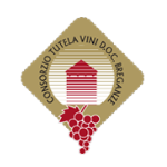 gdv